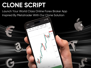 scale-your-trading-empire-with-whitelabel-metatrader-clone-software