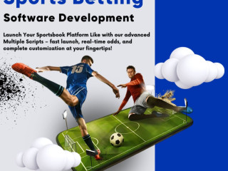 how-to-launch-a-global-betting-platform-using-advanced-sports-betting-software-development